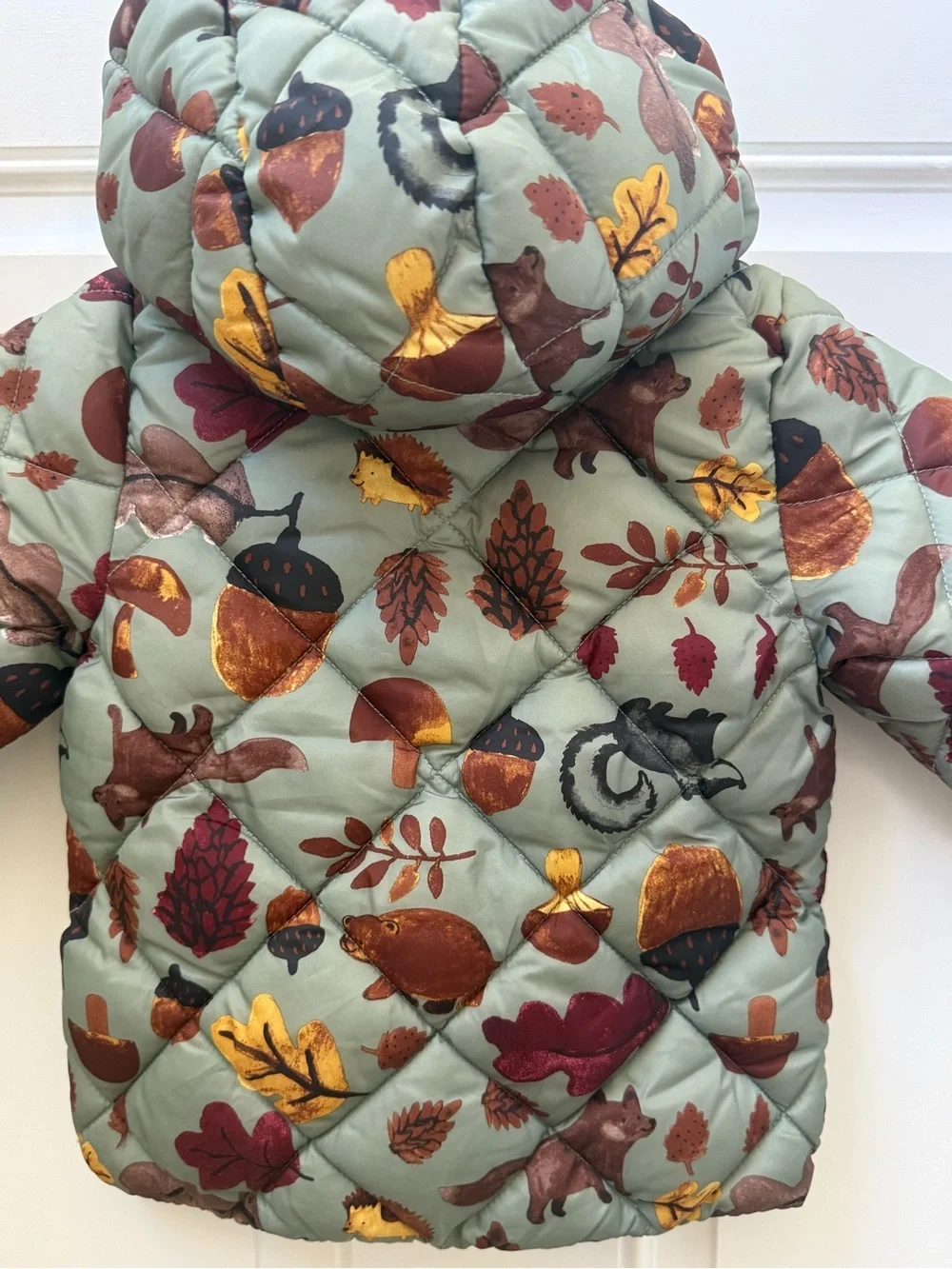 H&M Sage Green Kids Hooded Puffer Jacket with Autumn Motif